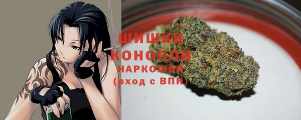 ГАЛЛЮЦИНОГЕННЫЕ ГРИБЫ Вяземский