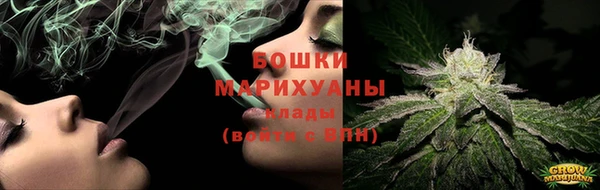 ГАЛЛЮЦИНОГЕННЫЕ ГРИБЫ Вяземский