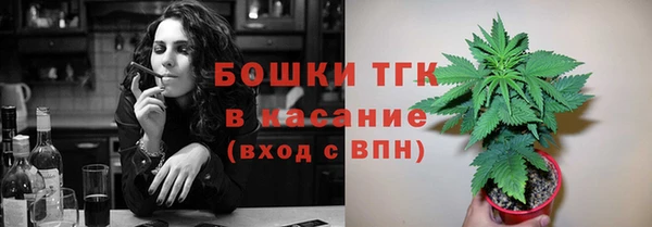 ГАЛЛЮЦИНОГЕННЫЕ ГРИБЫ Вяземский