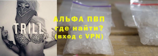 ГАЛЛЮЦИНОГЕННЫЕ ГРИБЫ Вяземский
