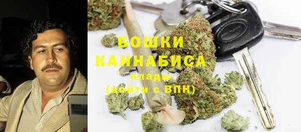 ГАЛЛЮЦИНОГЕННЫЕ ГРИБЫ Вяземский