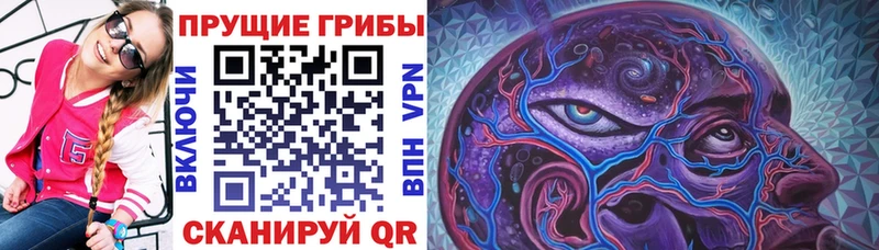 Галлюциногенные грибы Cubensis  KRAKEN ТОР  Ефремов 
